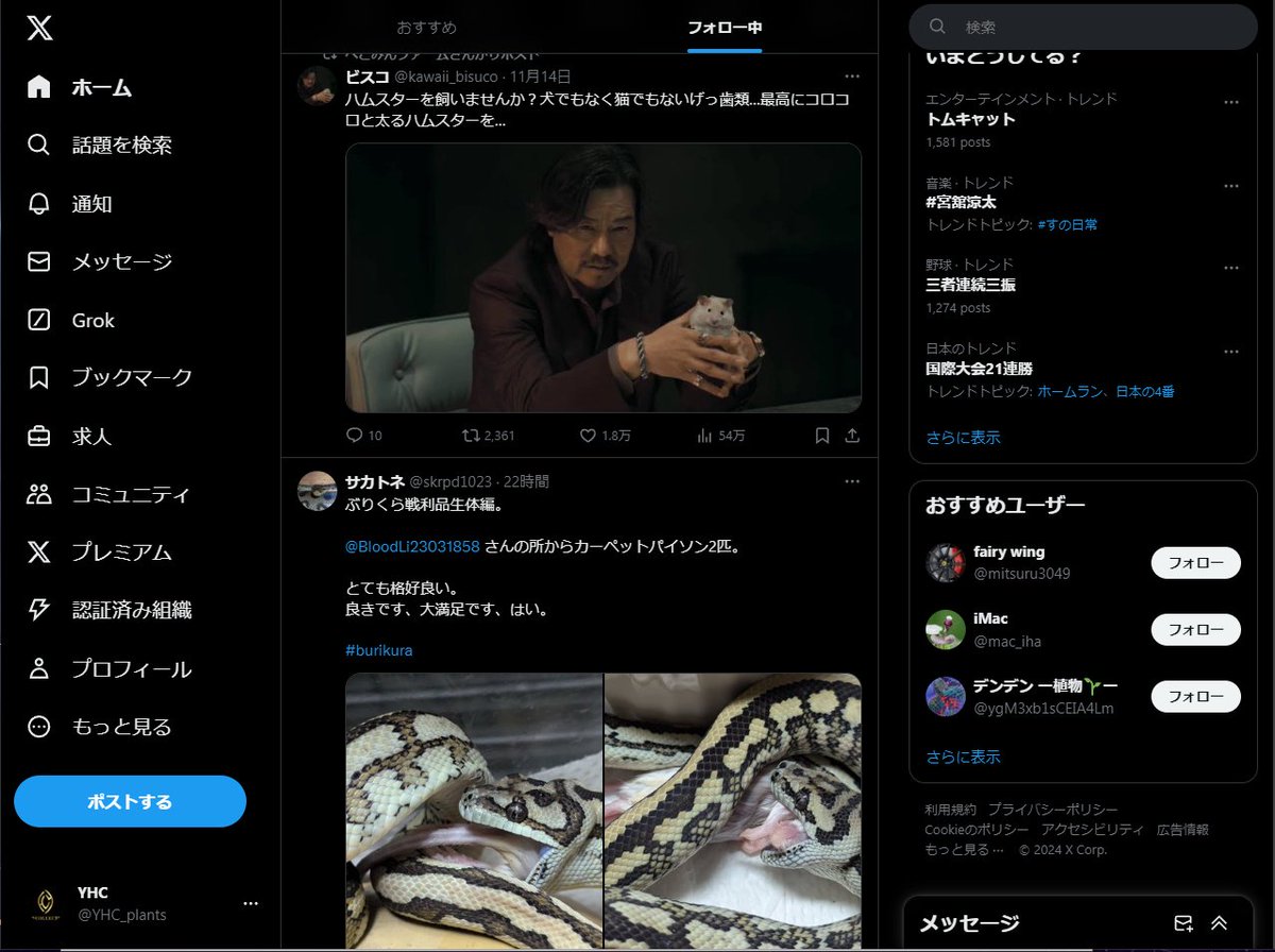 YHC_plants's tweet photo. この並び笑った🤣 https://t.co/fCpDIIHSlc