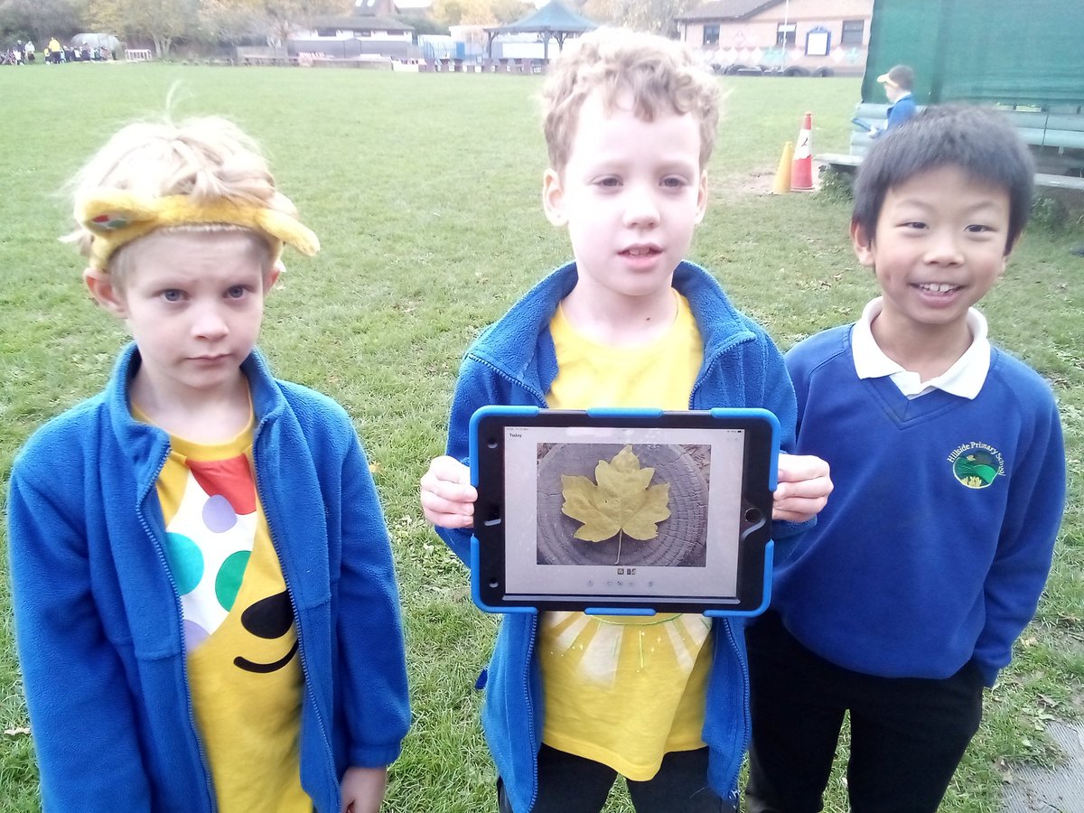 hillsideyr3's tweet photo. More fantastic photography using our outdoor environment. https://t.co/daESoBZvYf