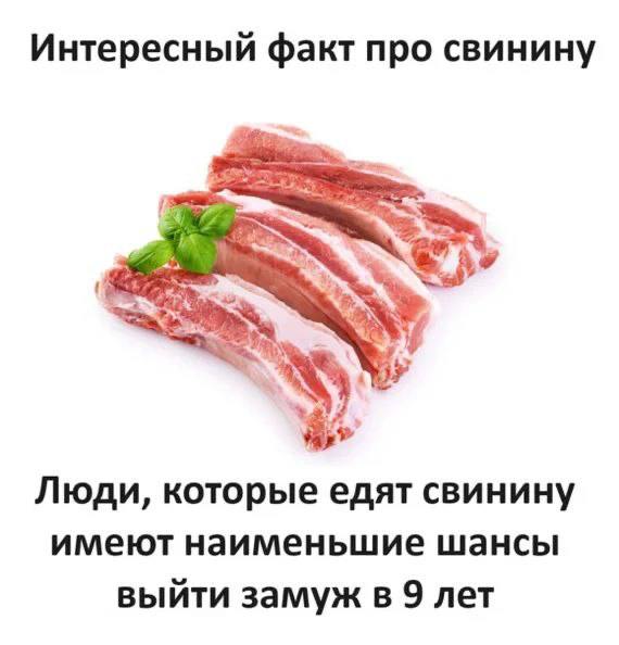 Chesh1r42's tweet photo. свинина спасает от раннего брака https://t.co/8dNEk1DOr6