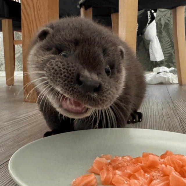 Blinks 👾 tweet media