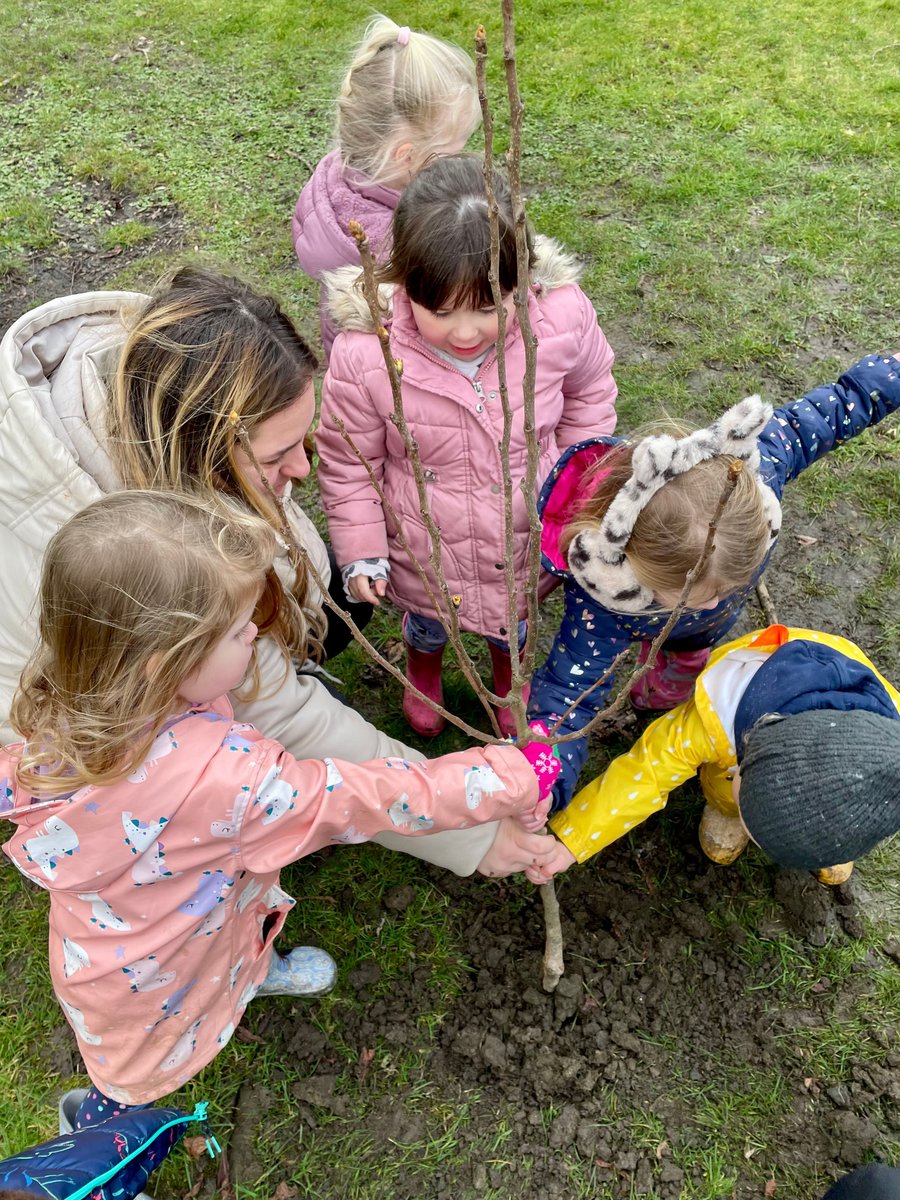 📢 Shoutout to all schools!

🌳 Don't miss out on free trees for your grounds! 🌳 

This is your last chance to apply to become Young Tree Champions and receive FREE nature-boosting trees, tech, training and workshops.

No soft ground on your site? No problem, we can provide