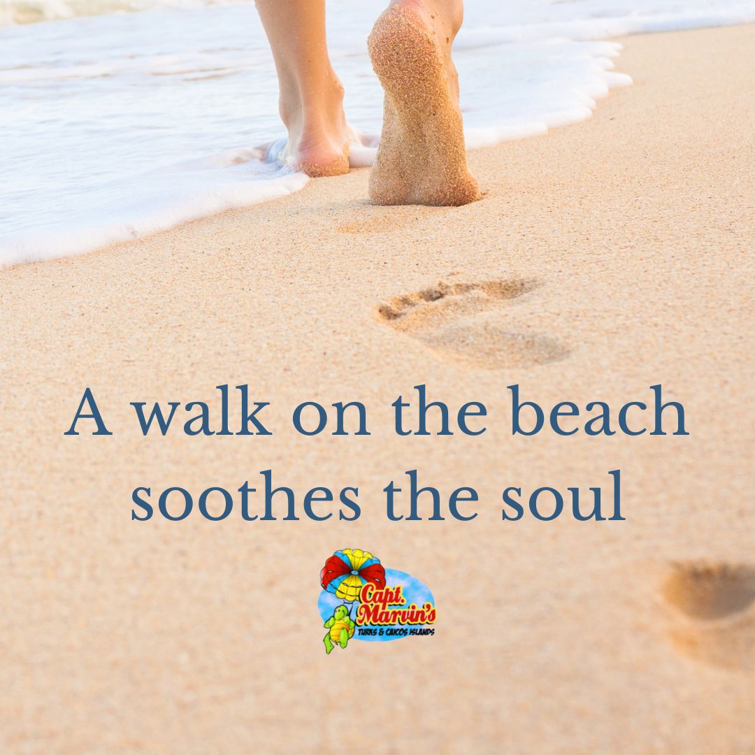 CaptainMarvin4's tweet photo. The sound of the waves 🌊 crashing against the shoreline is the most calming sound in the world. 
-
-
#beach #peaceful #parasail #parasailing #parasailingadventure #summer #adventure #beach #watersports #travel #fun #vacation #jetski #paradise #sunset #flying #gopro #fly #sea ... https://t.co/MtW5cy7sfV