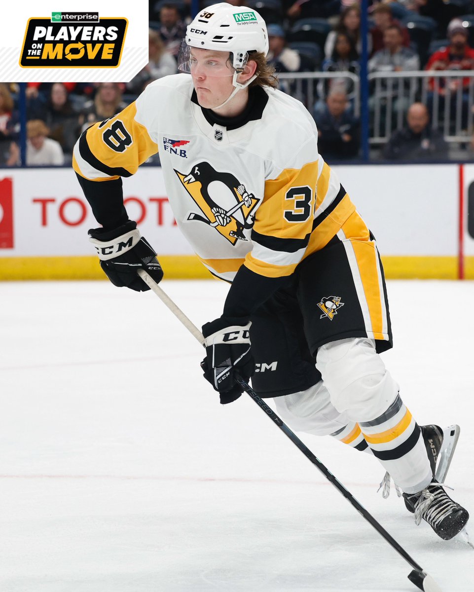 penguins tweet picture