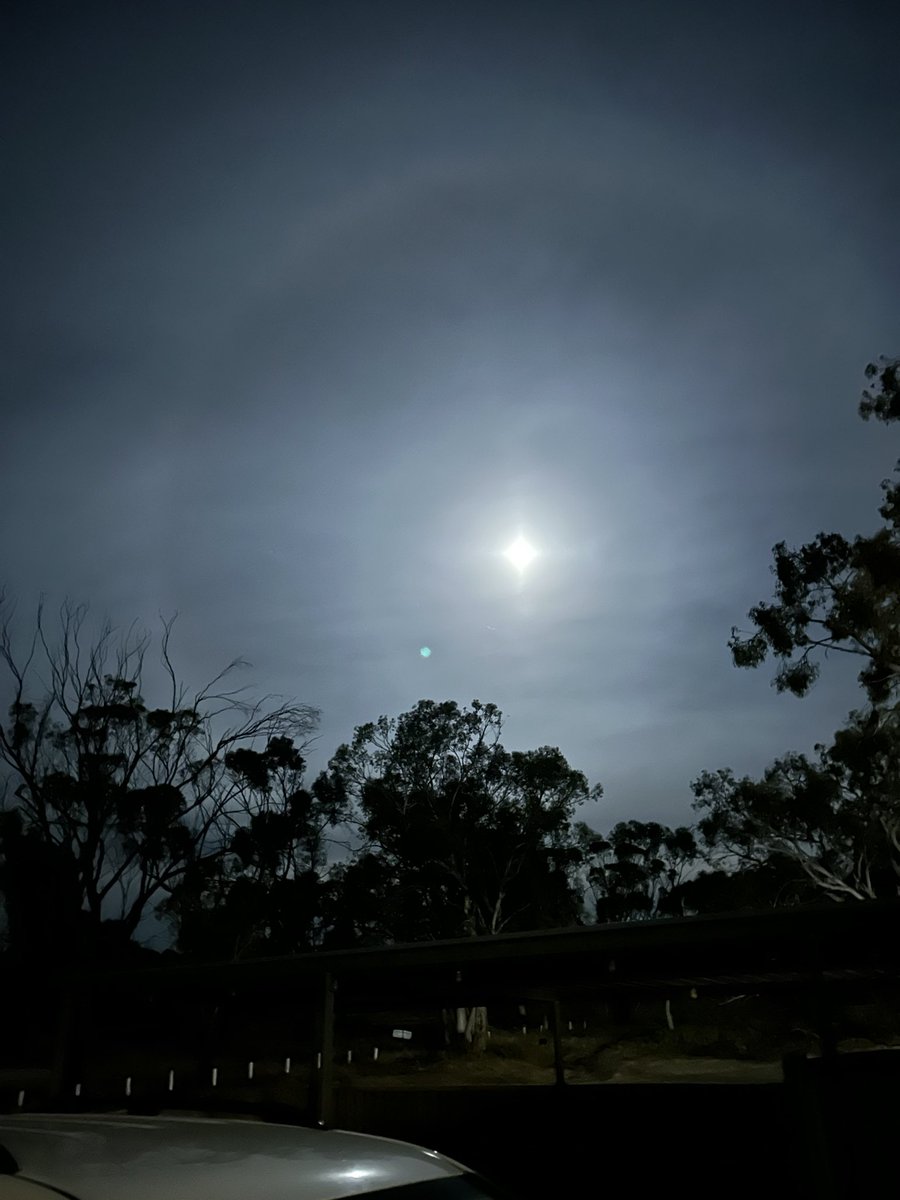 JJB McGill esquire Hoolz. living on McGill land tweet media