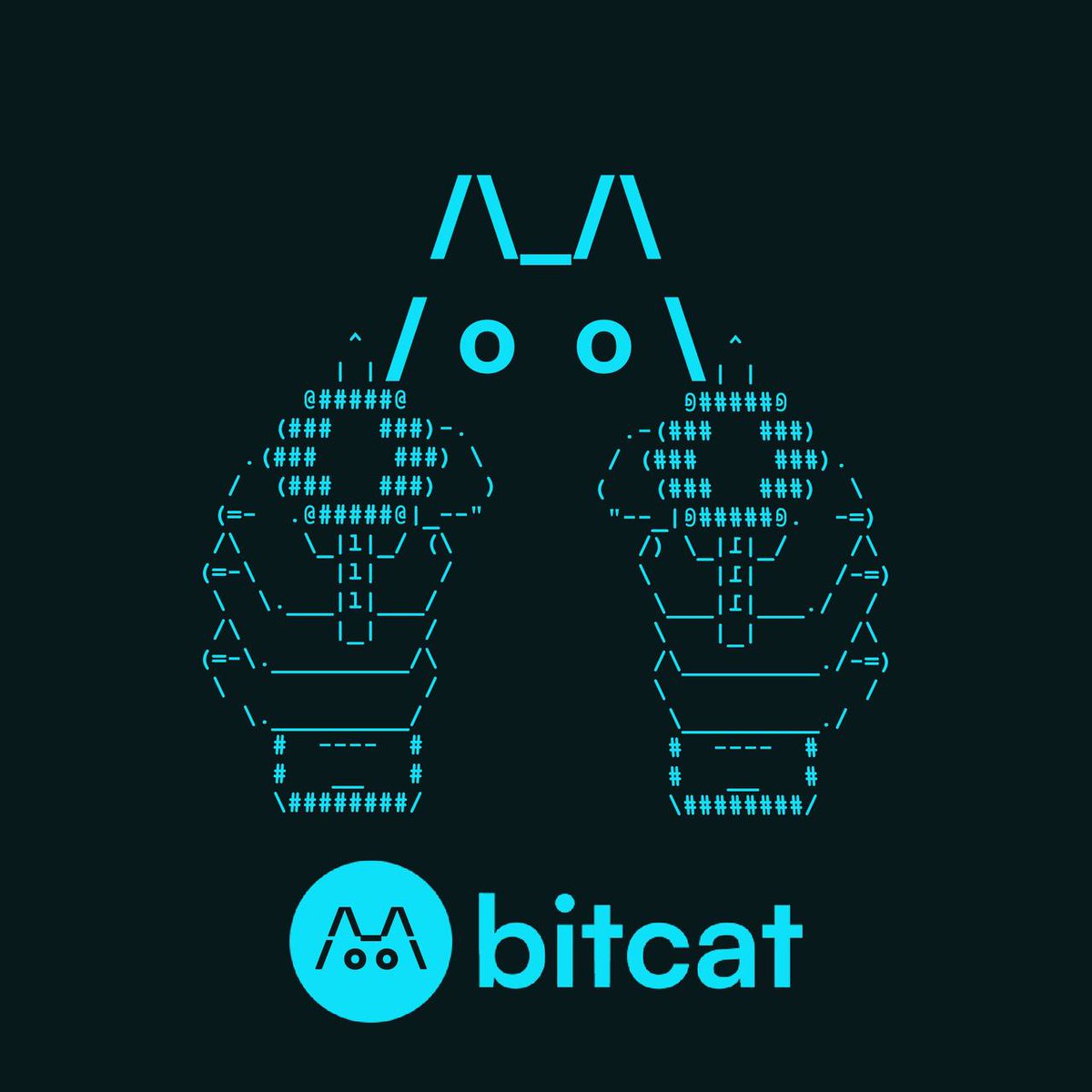 <a href="/Bitcoin/">Bitcoin</a> FIRST CAT ON CHAIN #stackcats

3XFiHA2gexzBjqtM5Z7FjJhP6f28D2m79UihBCfkpump