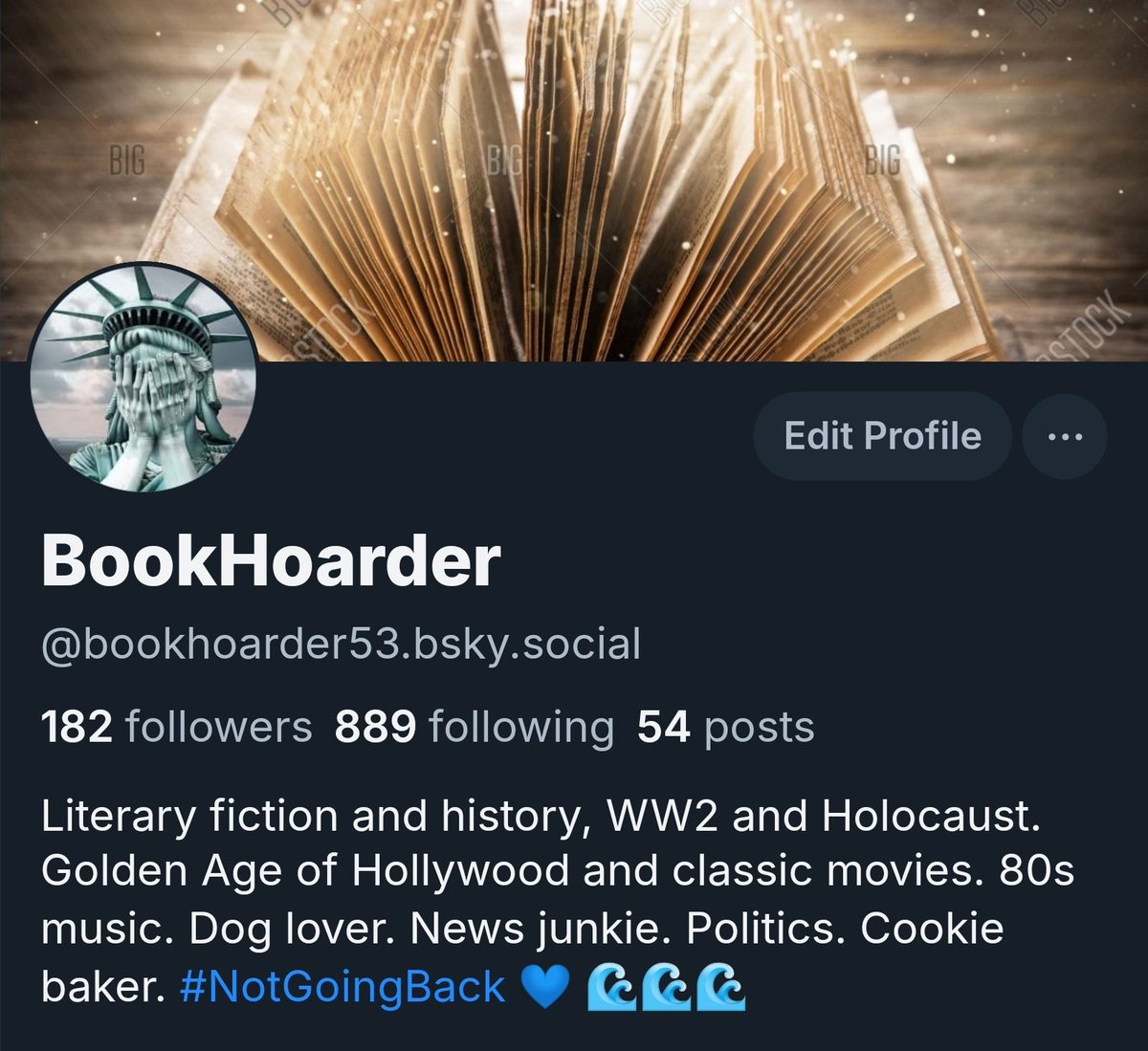 BookHoarder 🌊🌊🌊 tweet media