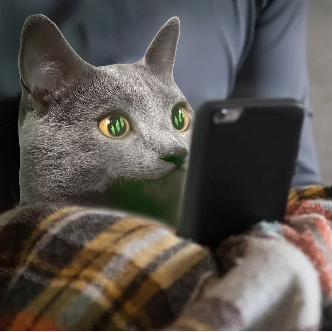 0x_susroboto tweet media