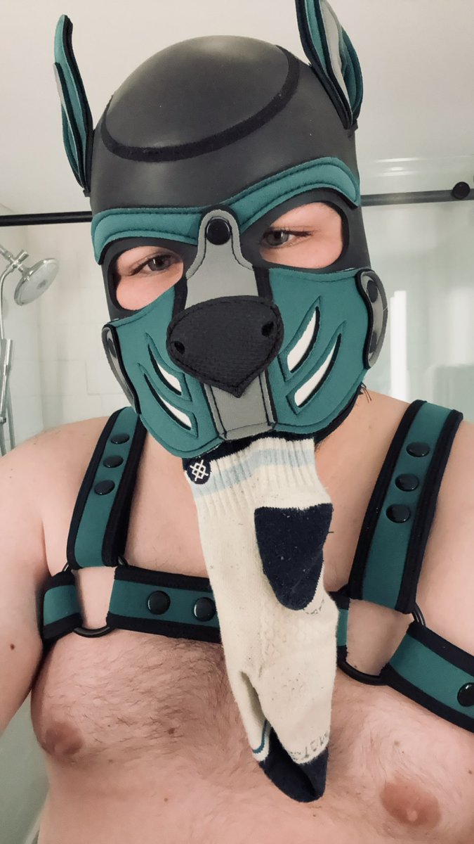 Pup Thunder tweet media