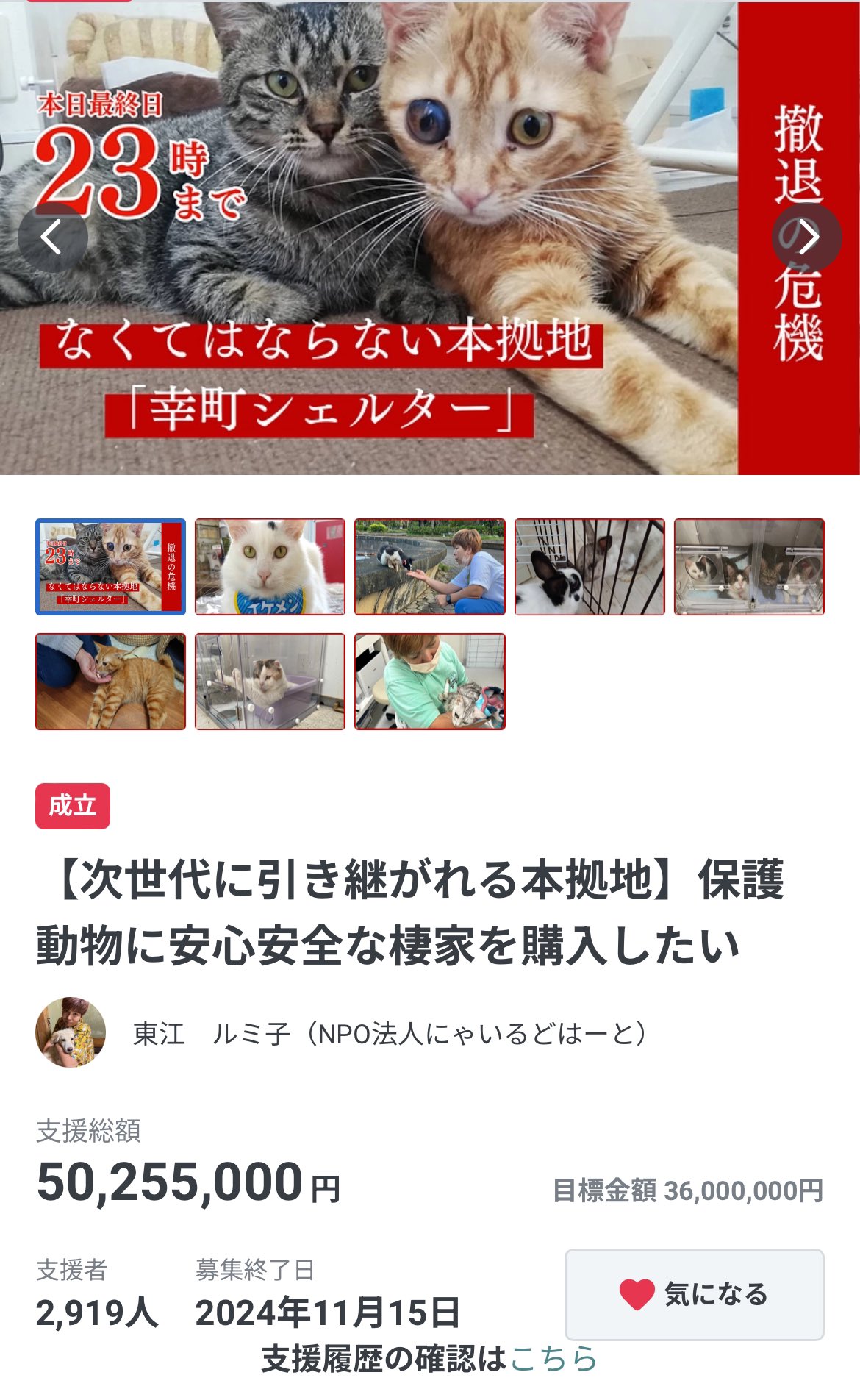 龍脈の精髄 クラスター 魂を浄化しご縁を結ぶ 売上一部保護猫活動に使用 公式】NPO法人にゃいるどはーと (@NPO48681819) / X