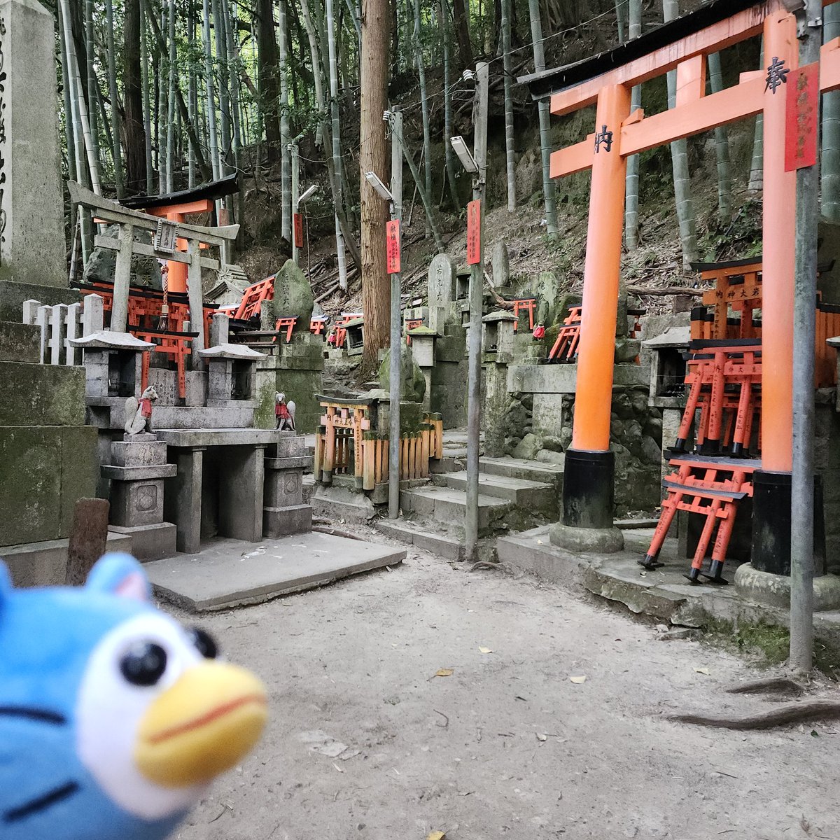 MushMeaty's tweet photo. たくさんあります.

#peepy #itemlabel https://t.co/p41JC9XQ6H