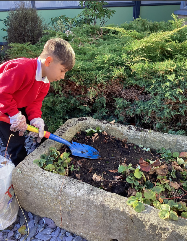 LapagePrimary's tweet photo. Thank you Mr. Dennison for the daffodil bulbs. I really enjoyed planting them and getting green fingers.
#LapagePrimary #skills #LearnAndGrow https://t.co/DphnvLRFsR