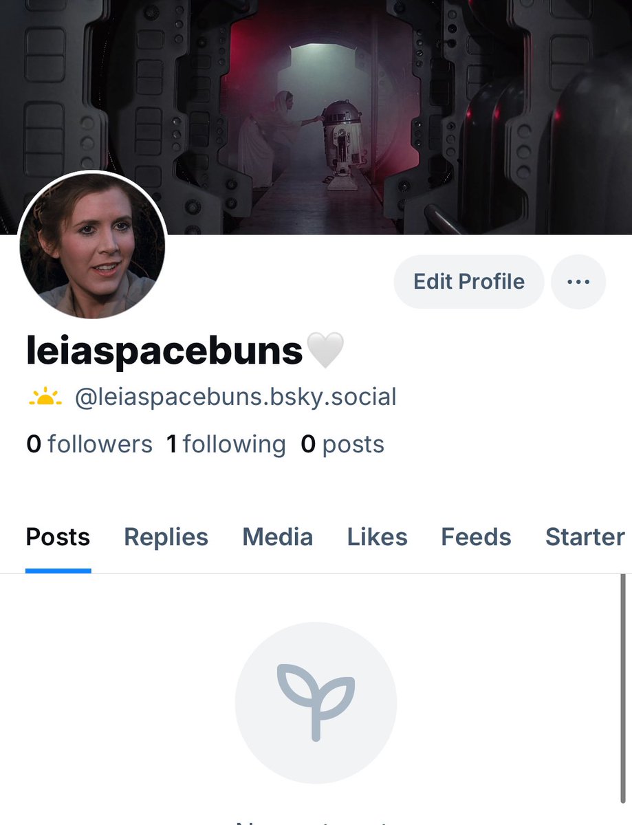 leiaspacebuns tweet media