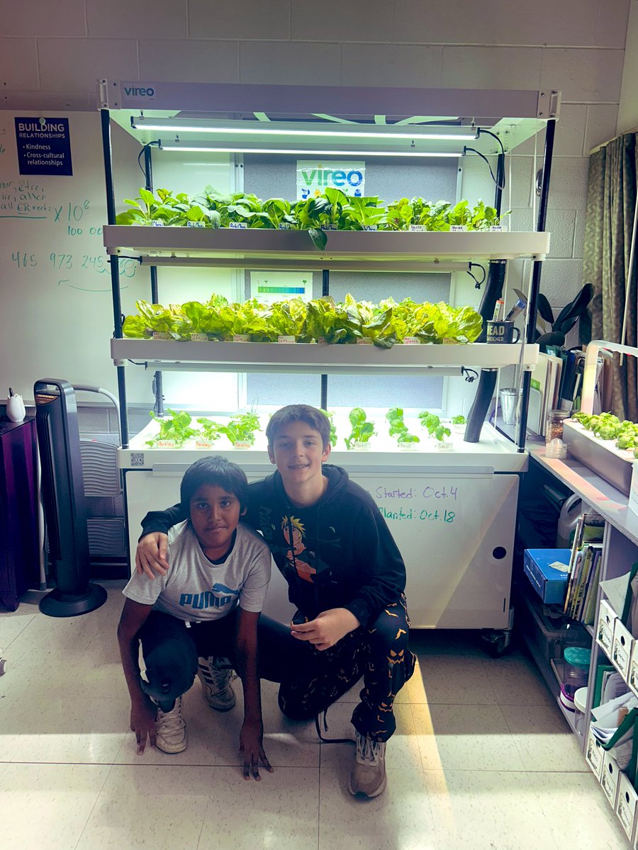 Rochelle Tkach 🌱 tweet media