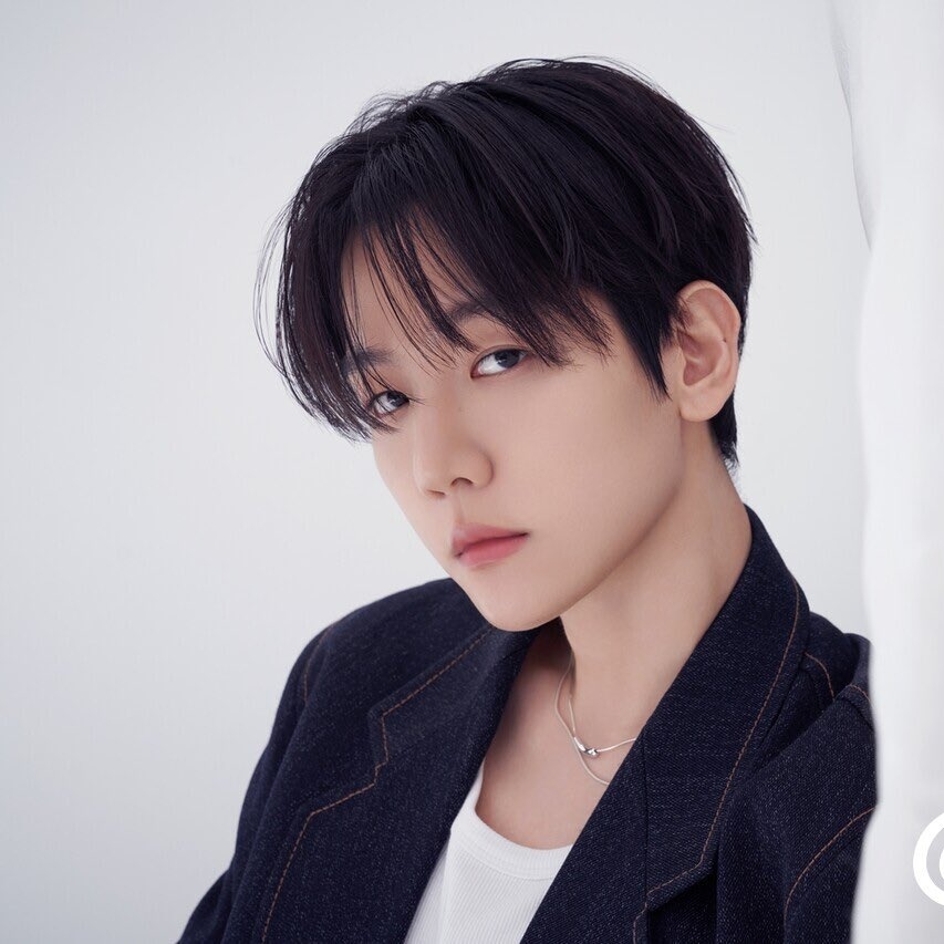BOXIANx's tweet photo. LET'S VOTE HARDER FOR BAEKHYUN!!! 🔥

#2024MAMAVOTE #BAEKHYUN https://t.co/y5N5NttmPT