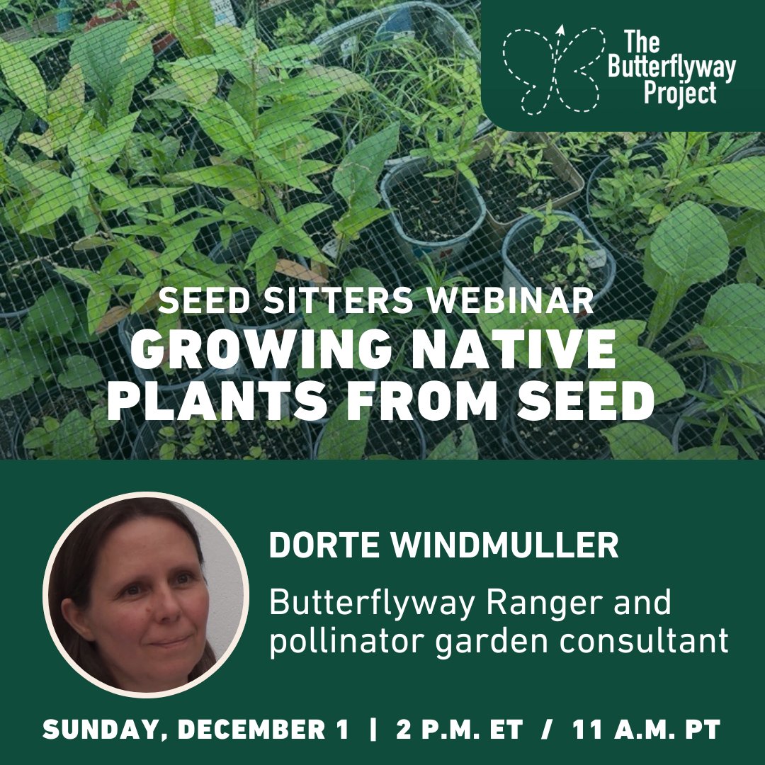 DavidSuzukiFDN's tweet photo. Looking for a reliable, affordable source of native plants? 🌱 Why not grow your own! Join Ranger Dorte’s webinar to learn winter seed-sowing on a backyard or balcony. Clear steps, images, and a community await!🌸 RSVP: https://t.co/DuABhAUxJP #SeedSitters #WinterSowing https://t.co/G0DMP3Ykey