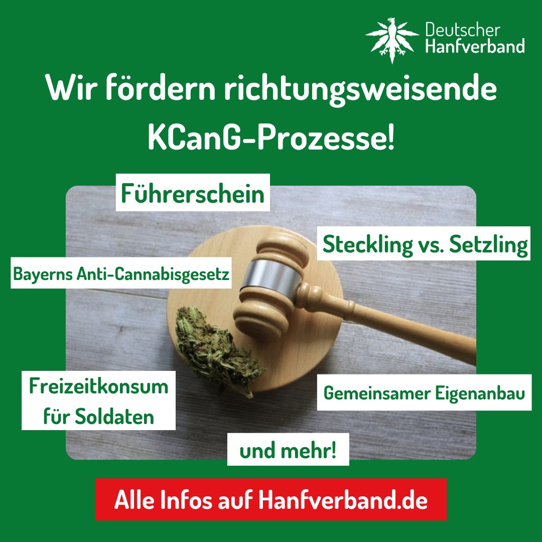 Führerschein, Bayerns Anti-Cannabisgesetz, gemeinsamer Eigenanbau und mehr – Ziel ist es, durch Präzedenzfälle dringend benötigte Rechtsklarheit zu schaffen!

⚠️ Wir suchen auch weiterhin Fälle!

➡️ Alle Infos auf hanfverband.de/dhv-foerdert-r…