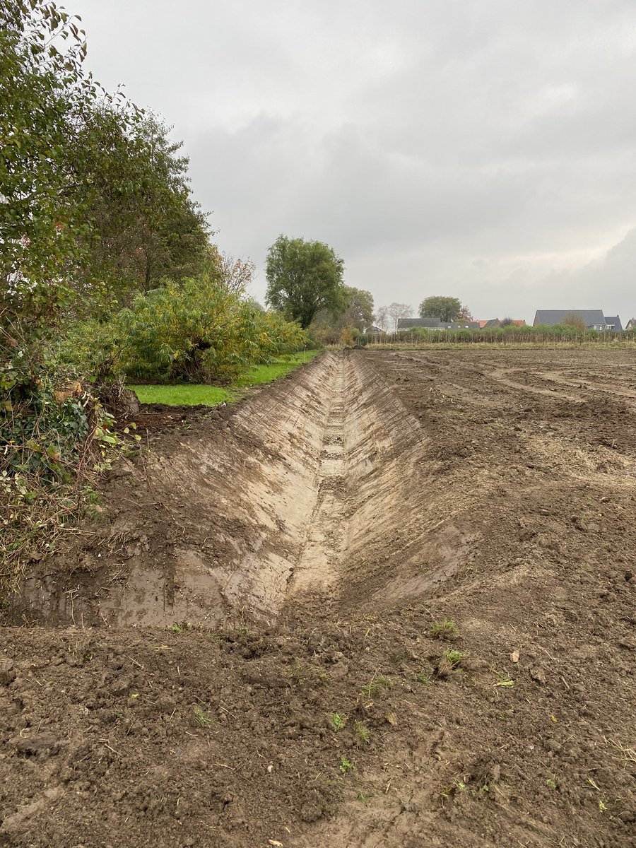 Sander vijverberg tweet media