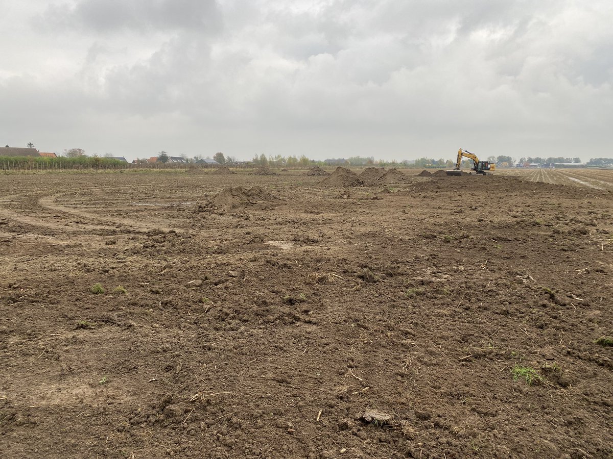 Sander vijverberg tweet media