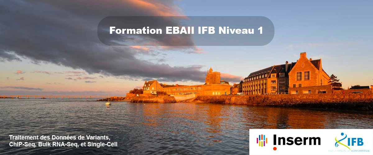 📢 🧬 #Formation EBAII 2024 niveau 1 du 17 au 22/11 à Roscoff ! Au programme, ateliers thématiques et sessions tutorats (bring your own data) autour du traitement de données de variants, ChIP-Seq, Bulk RNA-Seq, et Single-Cell RNA-Seq.
🔎 france-bioinformatique.fr/formations/
#Bioinformatique