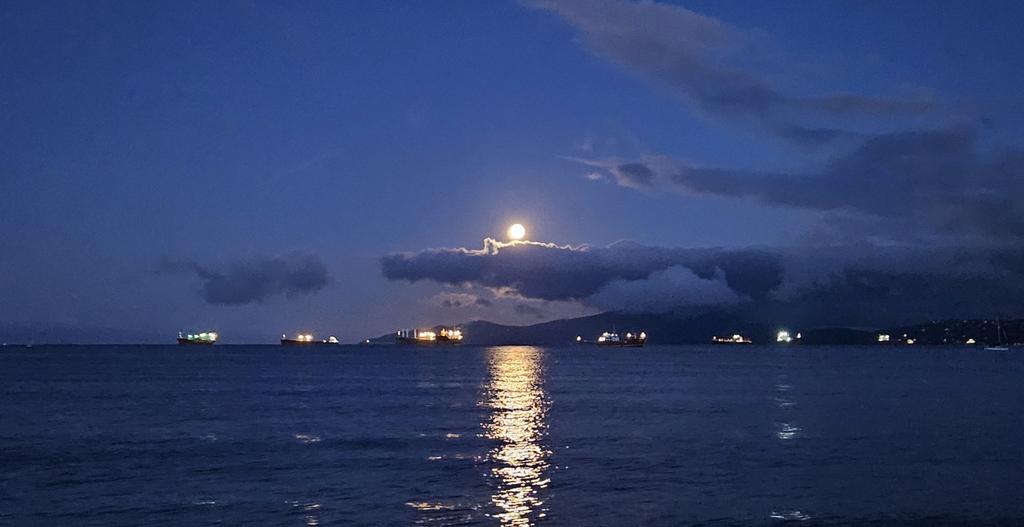 TriciaBarker49's tweet photo. Good morning Vancouver
#fullmoon
#pickhappy #keepwalking https://t.co/nVaZPd2bjA