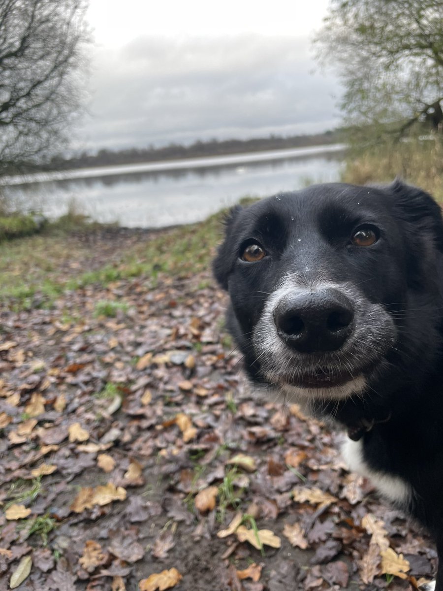 What Pippa Did Next tweet media