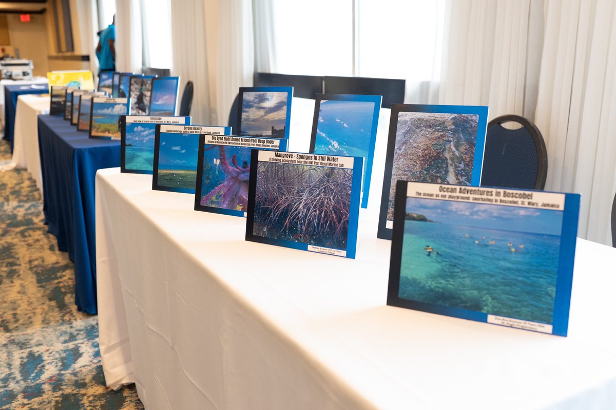 MaritimeJa's tweet image. The Maritime Authority of Jamaica is proud to have been a part of the Earth Ambassadeurs World Oceans Day Event, on June 7, 2024. With the Theme: Catalyzing Action For Our Ocean &amp;amp; Climate. 

#MaritimeAuthorityJa #WorldOceansDay #MaritimeProtection #OceanProtecion 🌊🐠🐟🐬🪼