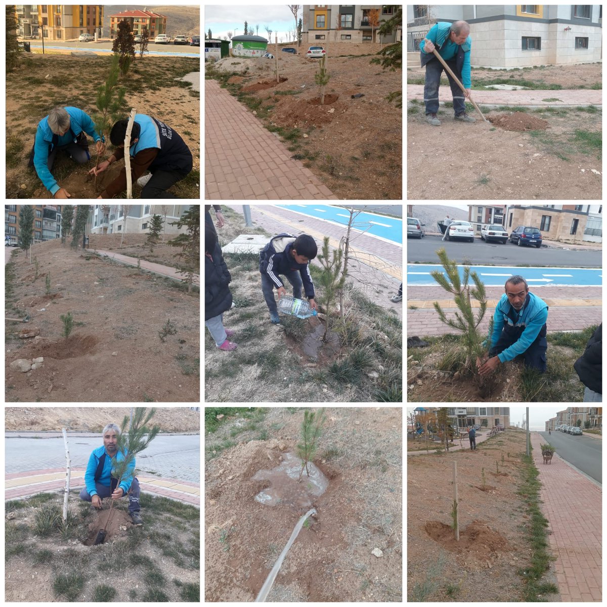 KonyaCl56254's tweet photo. Orman Bölge Müdürlüğü'nden temin ettiğimiz 1000 adet fidan, doğayla buluşmak üzere toprakla buluşuyor. Bu adım, çevremizi yeşillendirme ve ekolojik dengeyi koruma adına önemli bir faydadır.Fidanlar, hem çevremize değer katacak hem de gelecek nesillere yeşil bir miras bırakacaktır https://t.co/XDrP3dqR2r