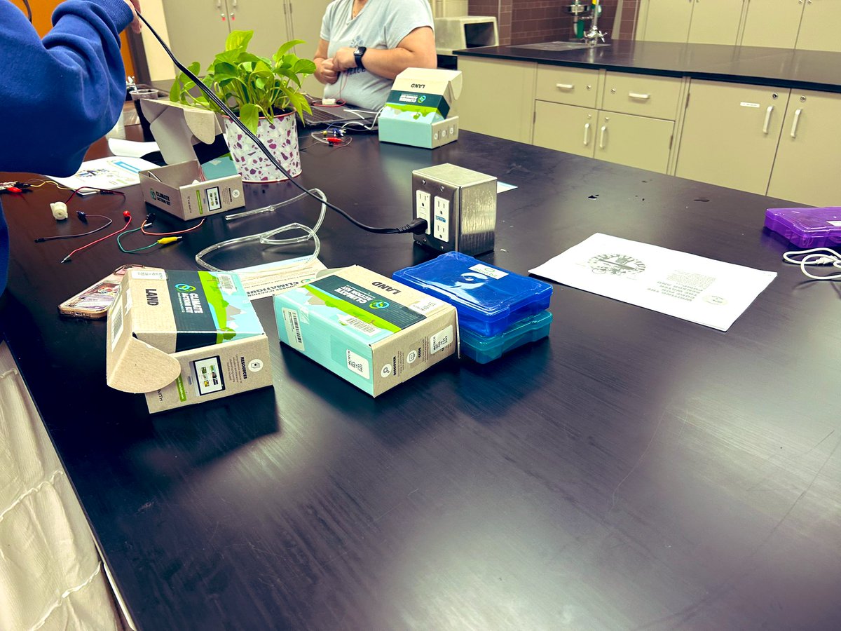 Rochelle Tkach 🌱 tweet media