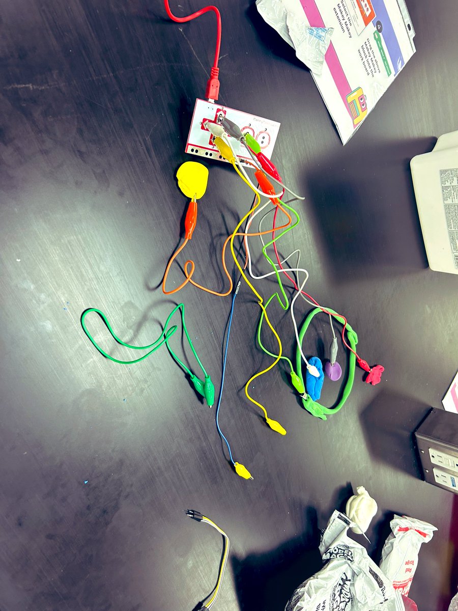 Rochelle Tkach 🌱 tweet media