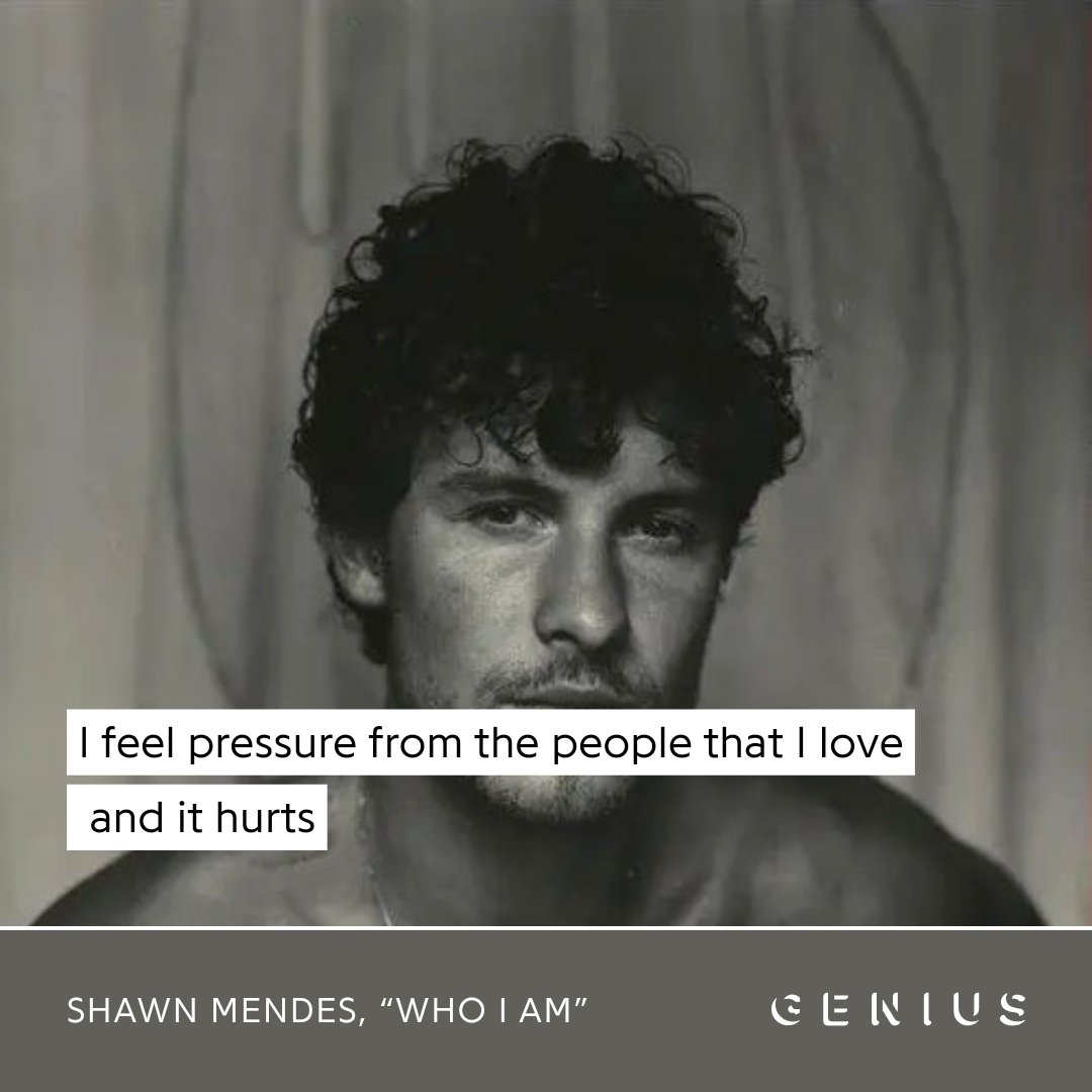 "una parte de una canción de shawn mendes no te puede doler tanto"
la parte de la canción :