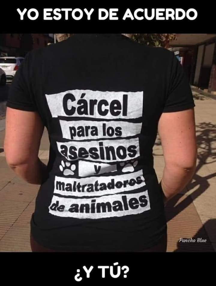 Y tú... estás de acuerdo.??