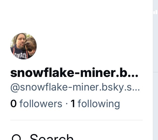 Eric the Snowflake Miner tweet media