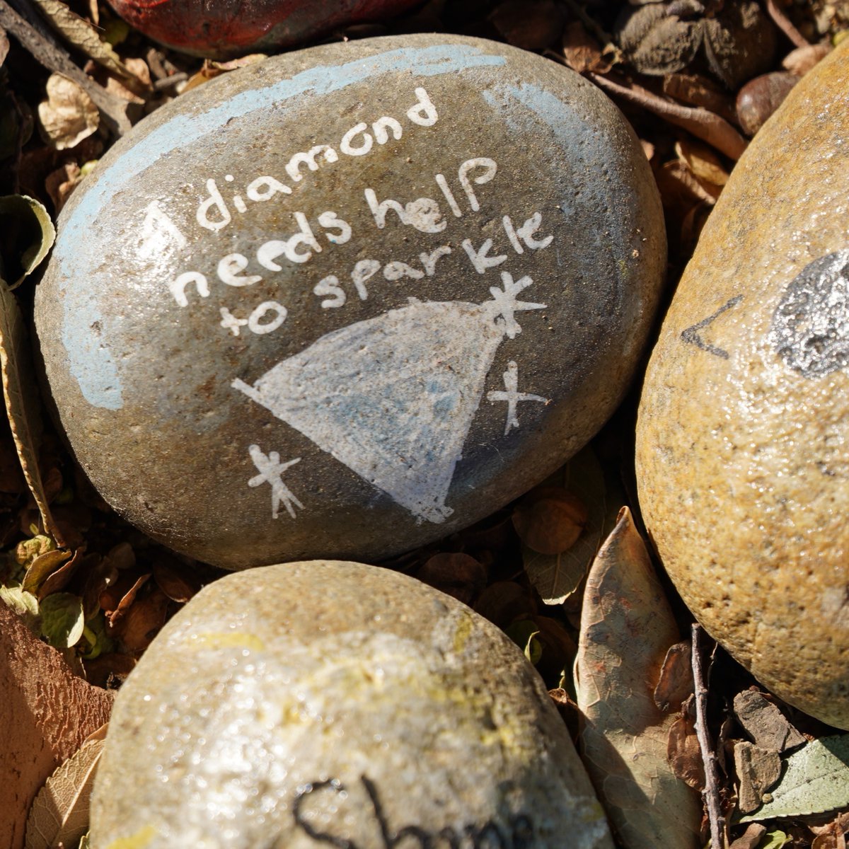 nmusd's tweet photo. Let's spread kindness! ๐ผ Check out the beautiful kindness rock garden created by the students at Early College High School. #whereiswes #kindness1billion @DrDaveMartinez https://t.co/ucHR9FaUG0