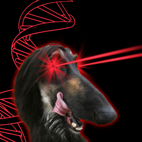 Snuppysol's tweet photo. Time to lazer the jeets

$SNUPPY was cloned with lazer dna https://t.co/HuBWSEkdGg
