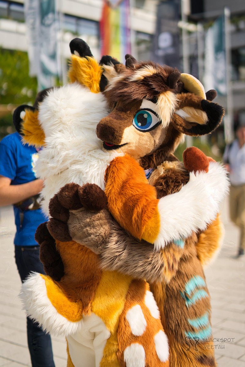 Cuddles are important, especially during the cold seasons. 

#FursuitsFriday #fursuiter #Fursuits #fursuit #deer #furry