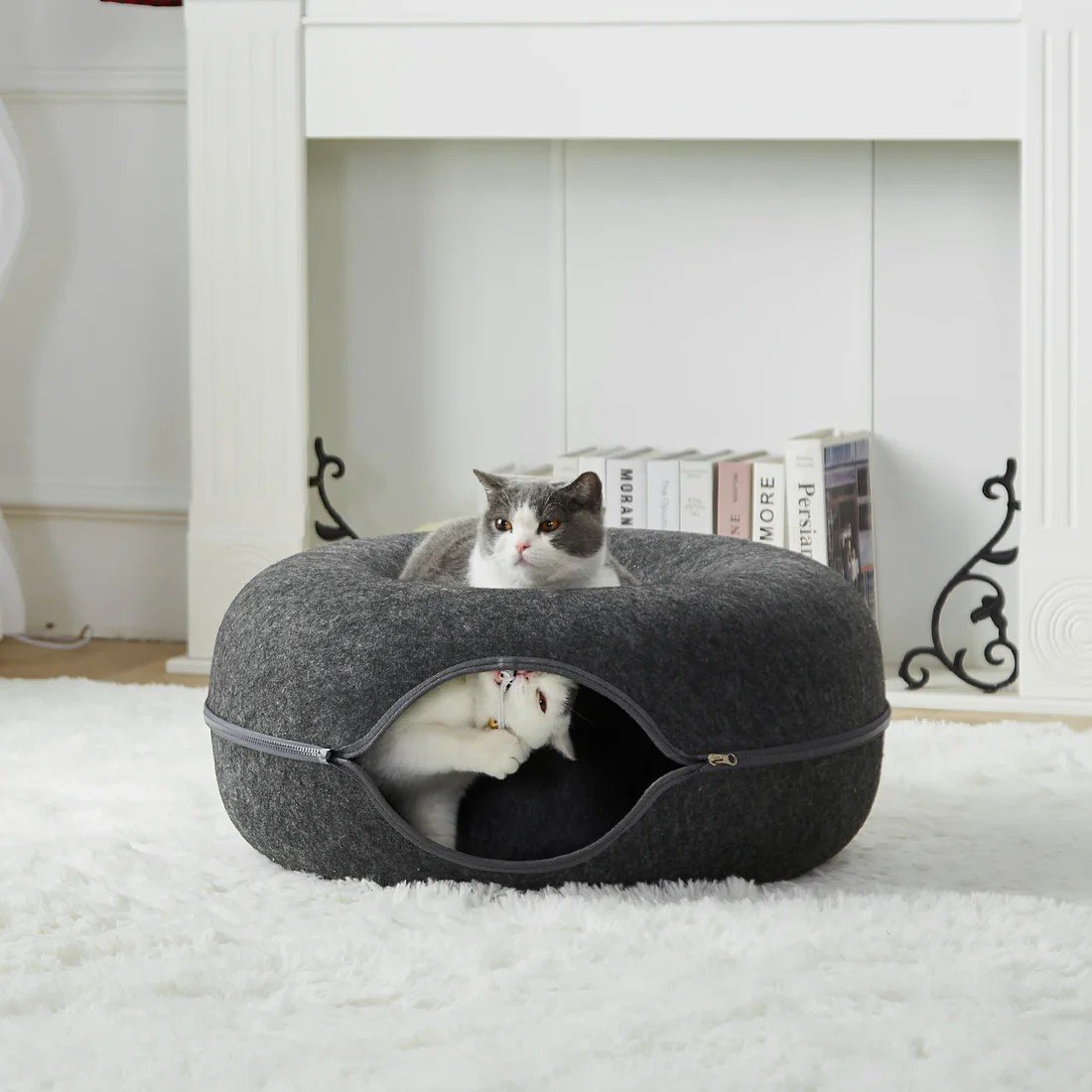 Lucky Paws (@Luckypawsgroup) / Posts / X