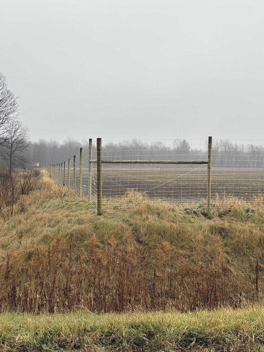 Adam Bissell tweet media