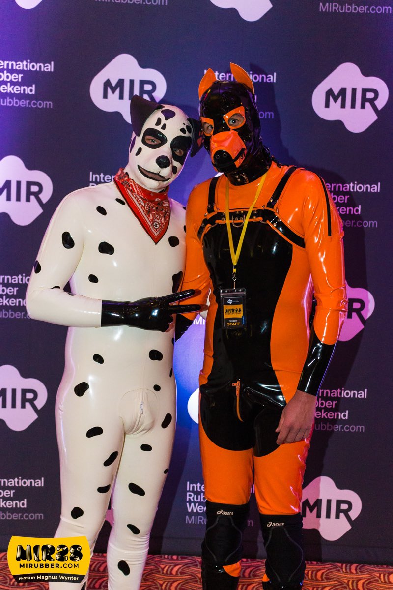 I’mma need you to calm down <a href="/PupZuki/">🐾USDA Whoreganic@GearblastUS</a> 🫳🍆