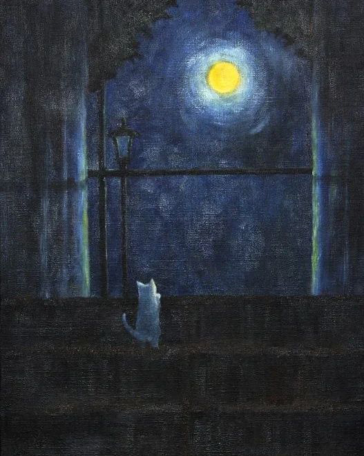 moonlight by emirkgkn
good night, friends