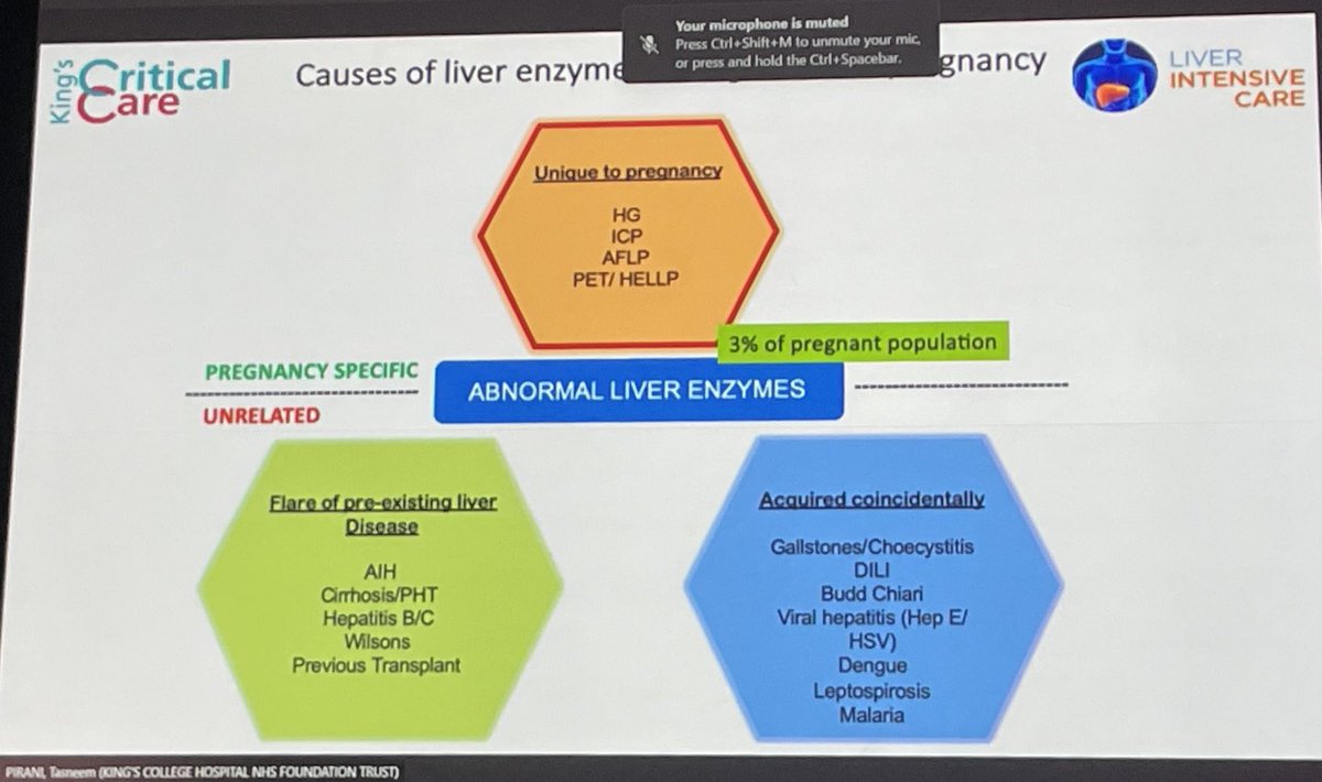 Scottish Maternal Critical Care Network tweet media