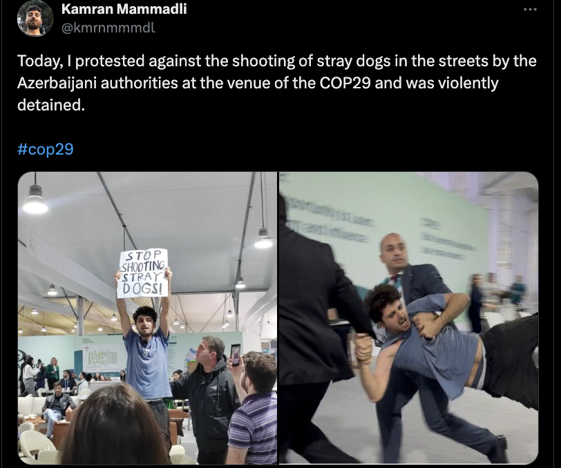 LindseySnell's tweet photo. When dozens of foreigners at #COP29 protest countries supplying fuel to Israel 
vs.
When one Azerbaijani guy at #COP29 protests Azerbaijan shooting dogs

AZ dropped $4.7 million for a PR firm to whitewash its image but still can't hide that it's a repressive autocracy https://t.co/TcS8dm9rP0