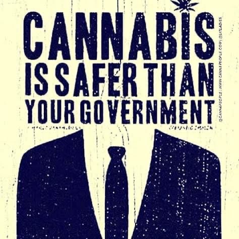 🌍 Jesus Used Cannabis 🌎 (@jesususedcanna) on Twitter photo 