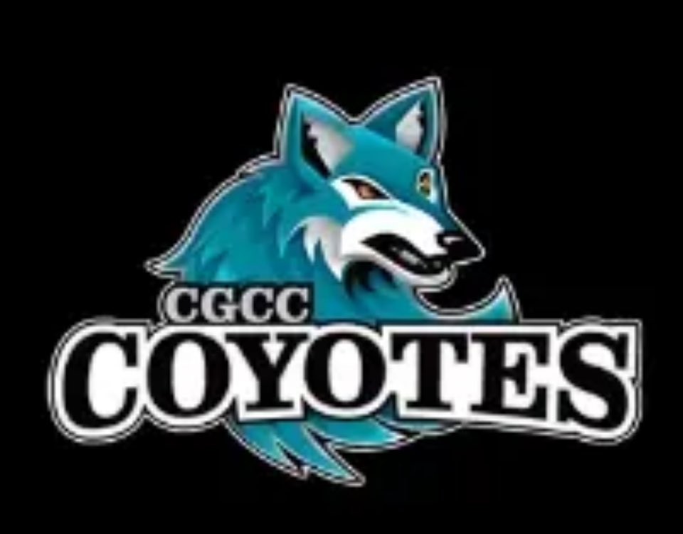 I am blessed to announce my commitment to Chandler-Gilbert Community College. Huge thanks to God for the amazing path He has for me, my family, coaches and teammates for the support.
#GoYotes 
<a href="/CGYoteBaseball/">Chandler-Gilbert CC Baseball</a> <a href="/PerryBaseball07/">Perry Baseball</a> <a href="/AZ_Athletics/">Marucci Athletics Baseball</a> <a href="/codbra/">Cody Brassfield</a> <a href="/UrkishGold22/">Jimmy Turk</a> <a href="/JRathbone7/">Jordan Rathbone</a>