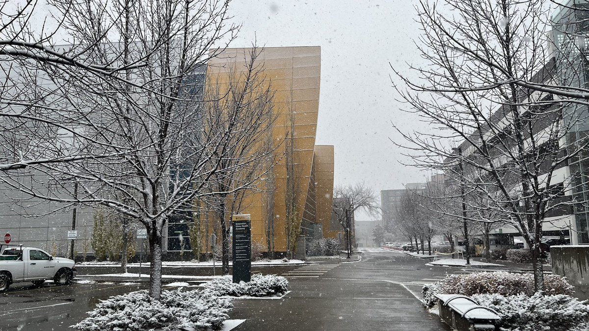 Kim Siever tweet media