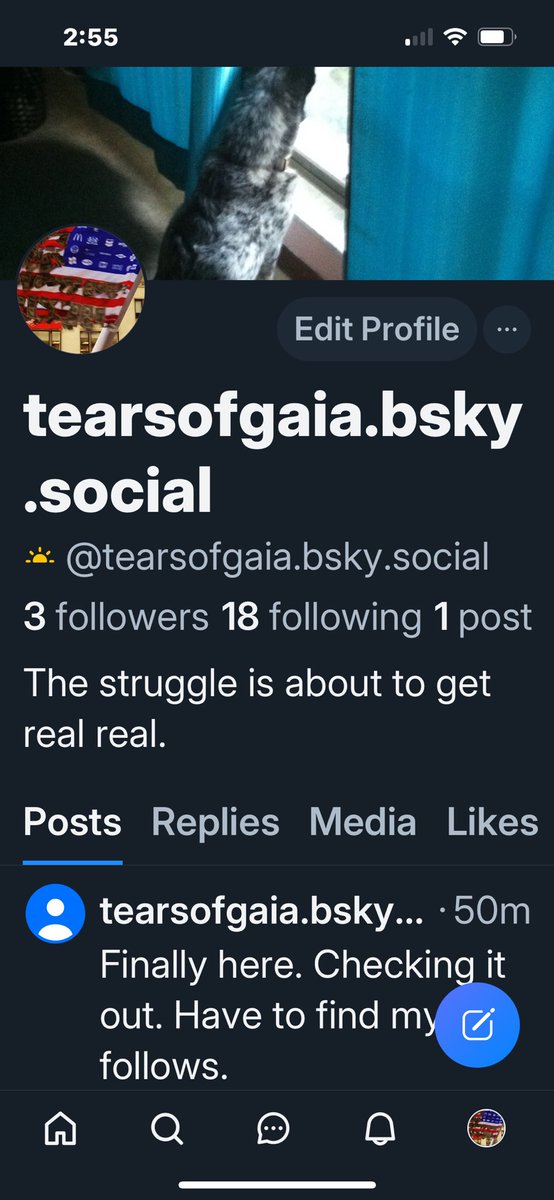 GaryMophead 🐌🧼✨ tweet media