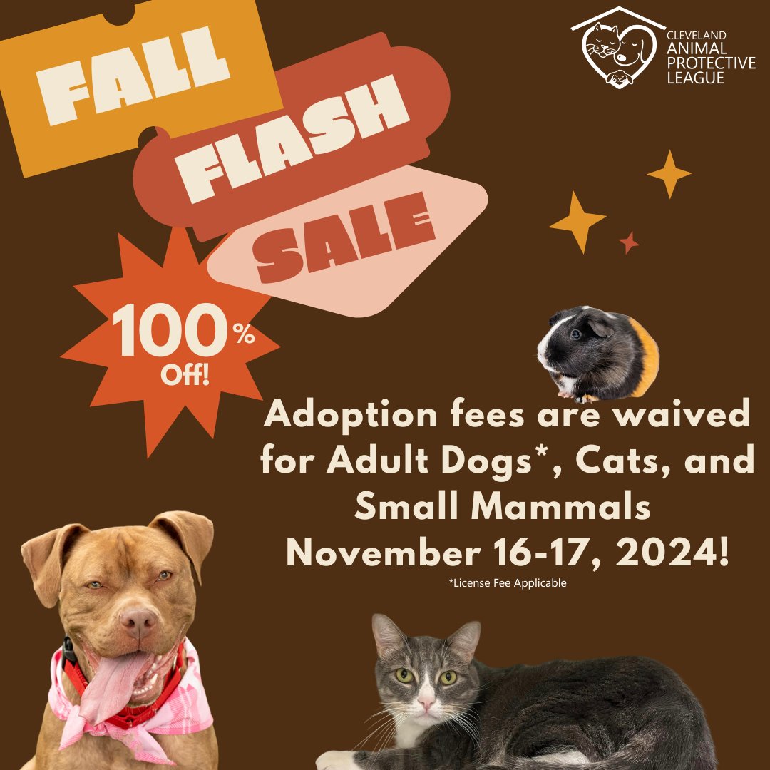 Fall in love with a new best friend during our FLASH SALE! Adoption fees are waived for all adult dogs, cats, and small mammals this weekend, November 16-17, 2024. You can see all of our adorable and adoptable animals at bit.ly/3USoYE1. 🍂🐾