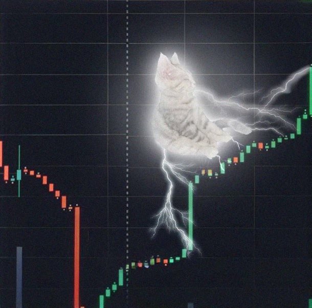 MFaradayCrypto's tweet photo. @realyangster @Cobratate $flow https://t.co/5ypJ0rwZgU