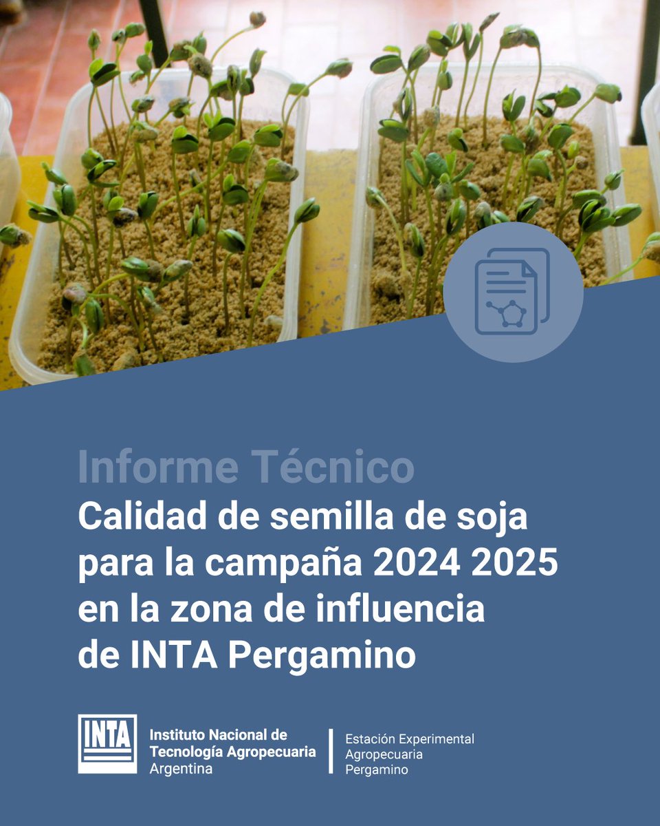¿Por qué hay que analizar las semillas?
Se inició una nueva campaña de soja y como es habitual, el sector productivo cuenta con la información generada por los laboratorios de INTA
📒 Accede a la nota completa y al informe aquí > 📲argentina.gob.ar/noticias/por-q…