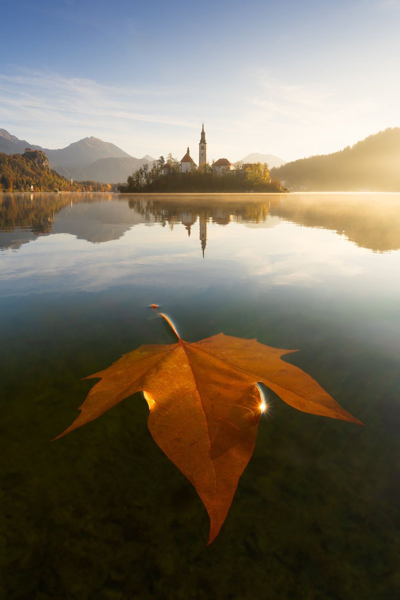 Beautiful autumn morning in Slovenia 🤩