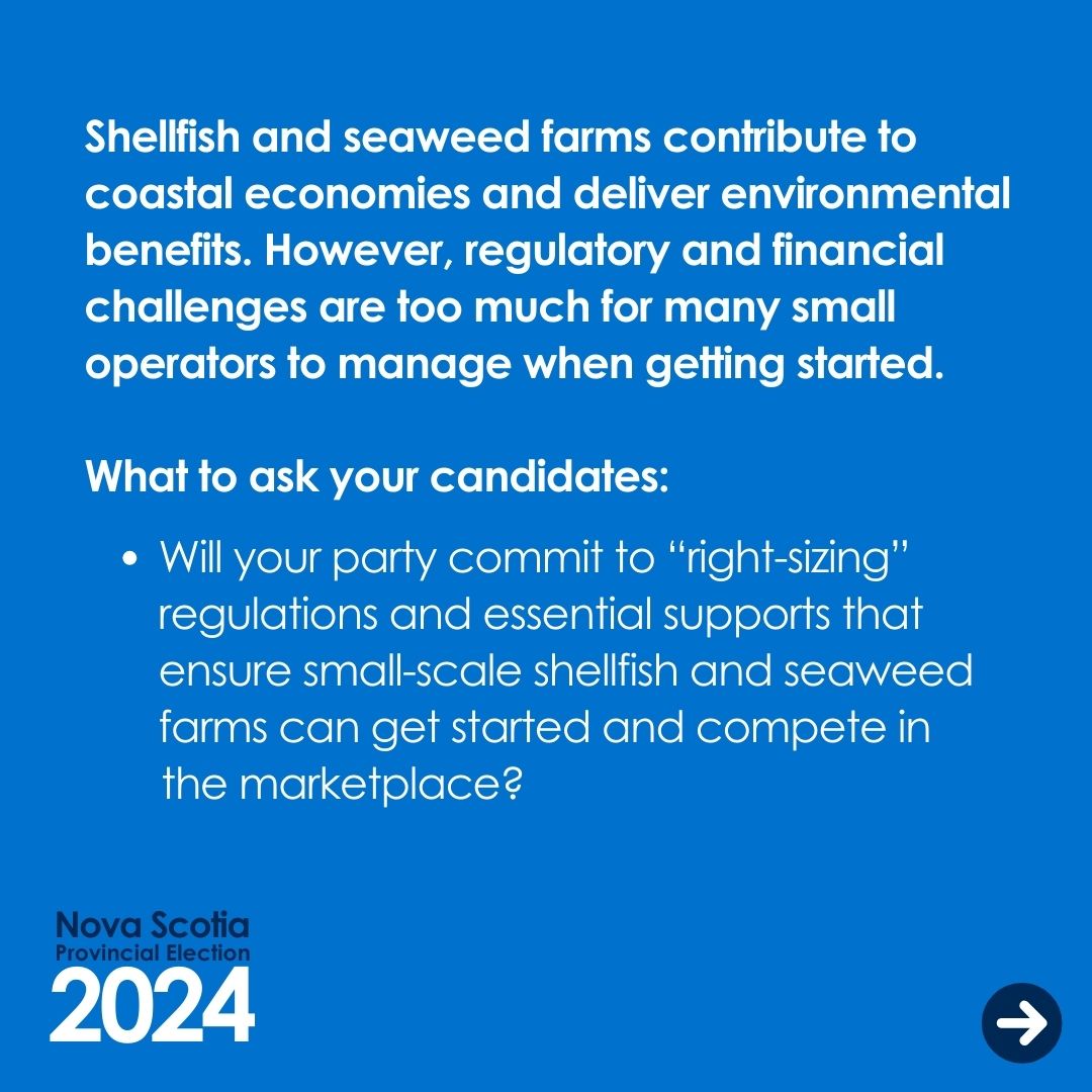 EcologyAction's tweet photo. This election, make sustainable aquaculture part of the conversation ✅️
 
The EAC has developed a voter toolkit to help you talk to candidates about seven important environmental issues – like right-sizing aquaculture regulations

Get the full toolkit at https://t.co/amZrfVyxL7 https://t.co/l4WFF0q0LP
